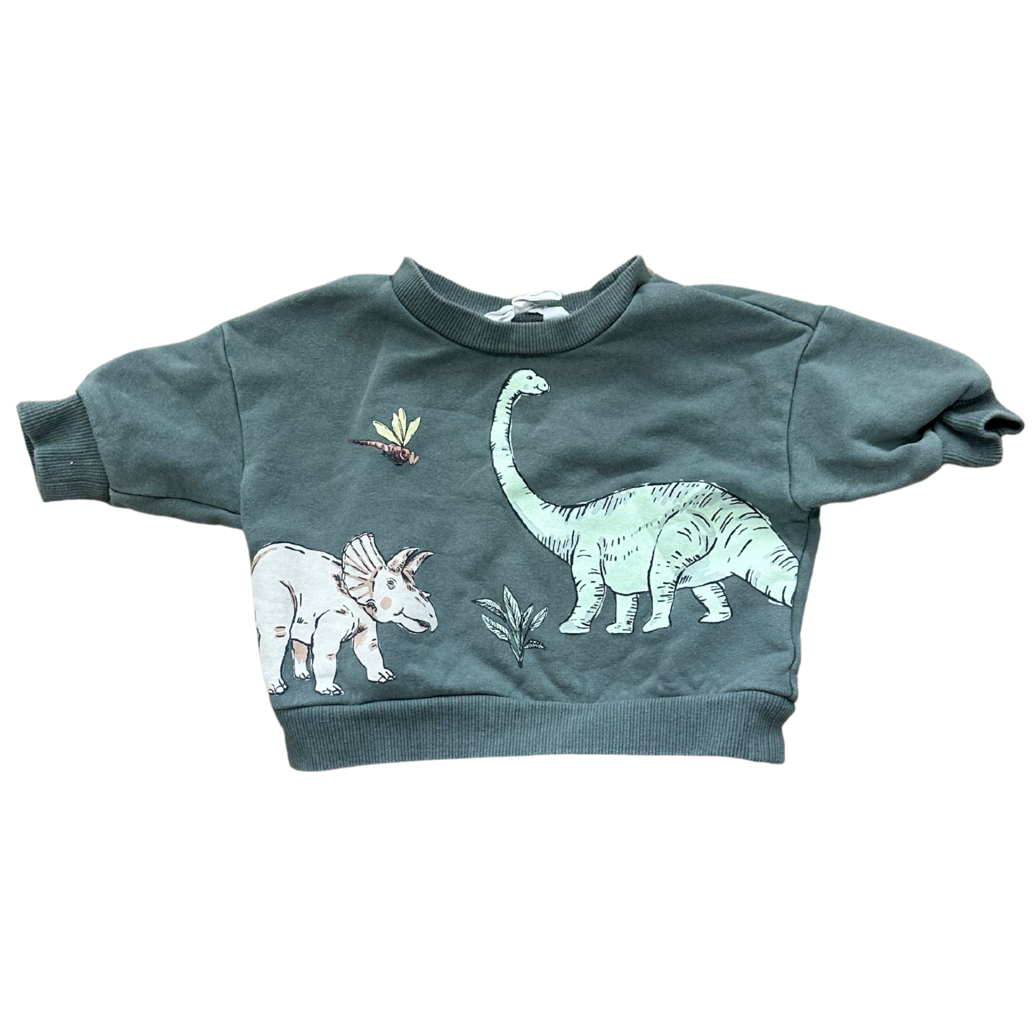 Cotton On Dinosaur Jumper 000
